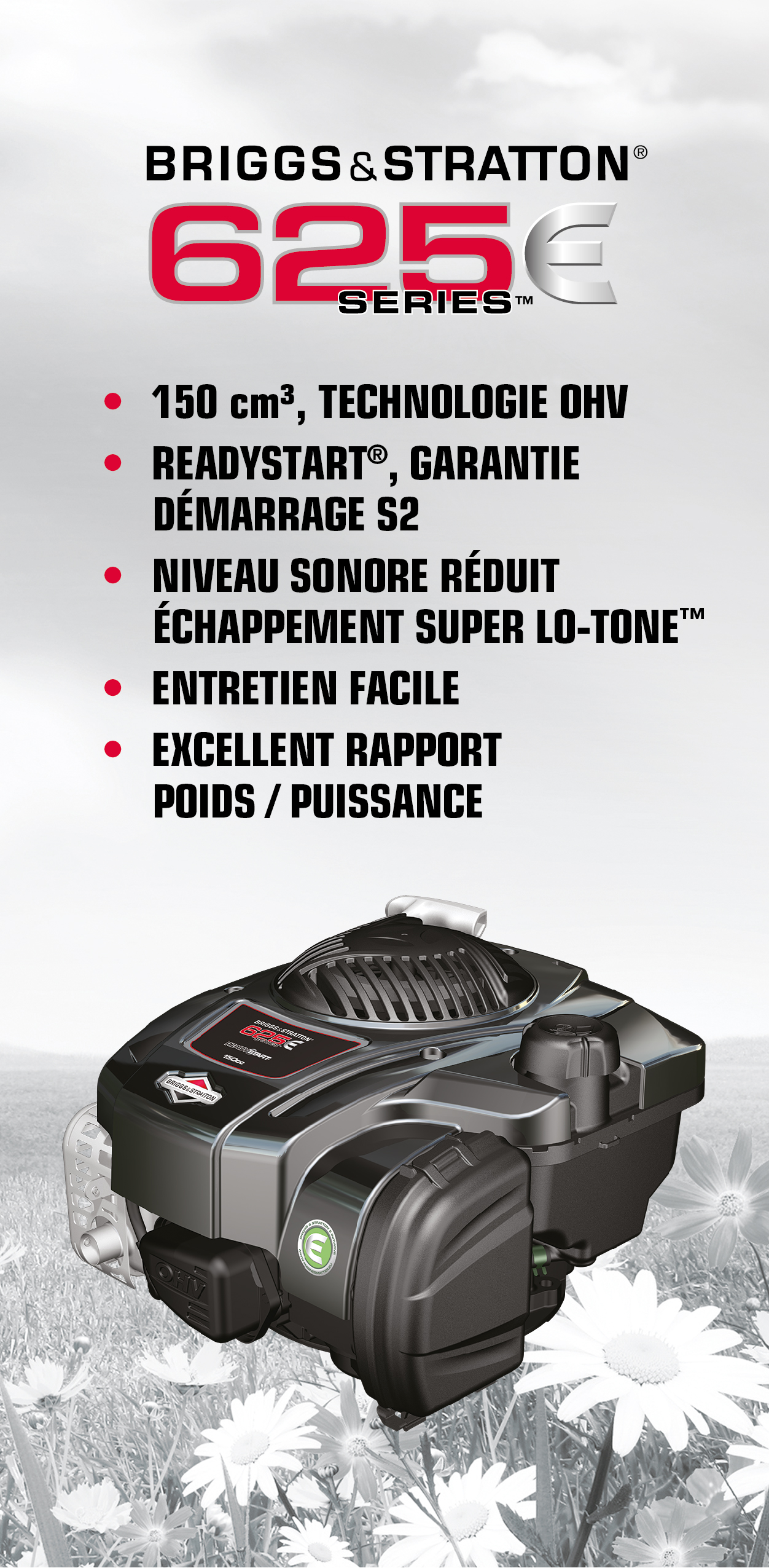 Image du moteur BRIGGS & STRATTON 625 e-serie Image du moteur BRIGGS & STRATTON 625 e-serie