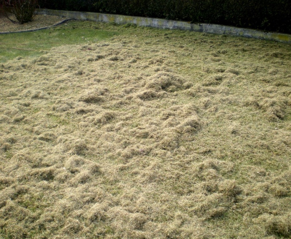 scarifier