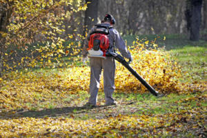 Souffleur de feuilles