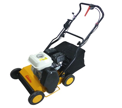 scarifier votre pelouse