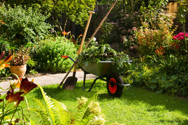 Enthousiaste Femme Jardinage À La Maison Au Printemps Banque D