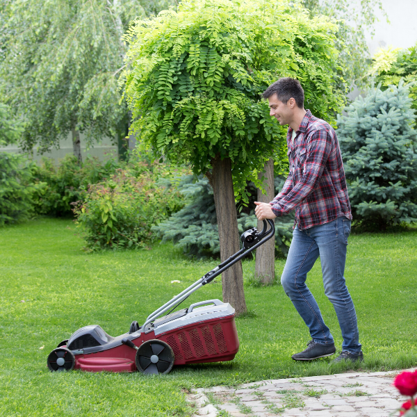 Comment bien choisir sa tondeuse en fonction de son jardin et de ses envies  ?