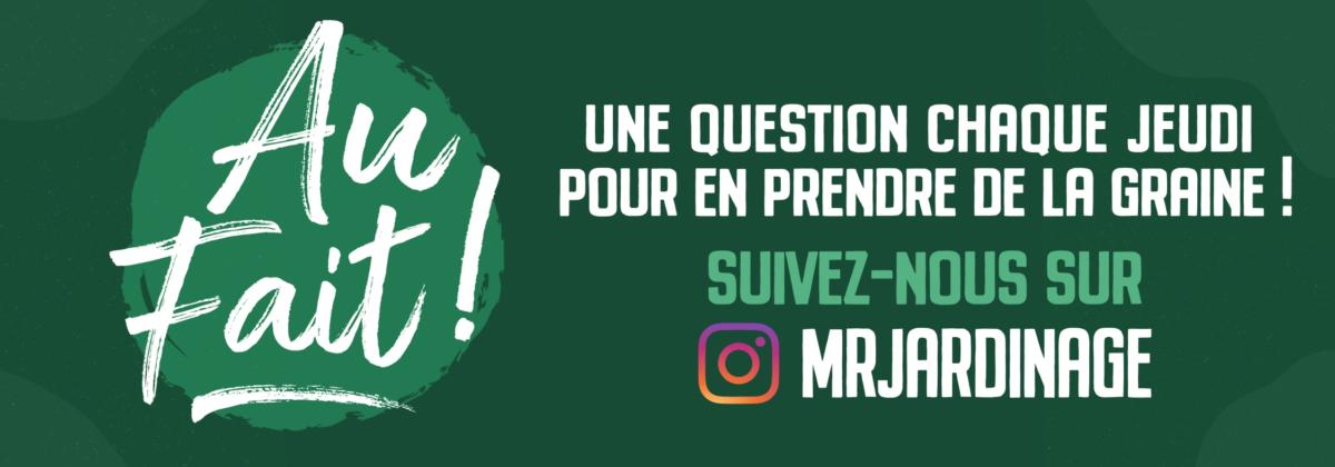 Au fait-Instagram