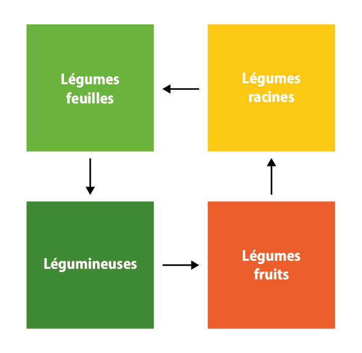 rotation des cultures
