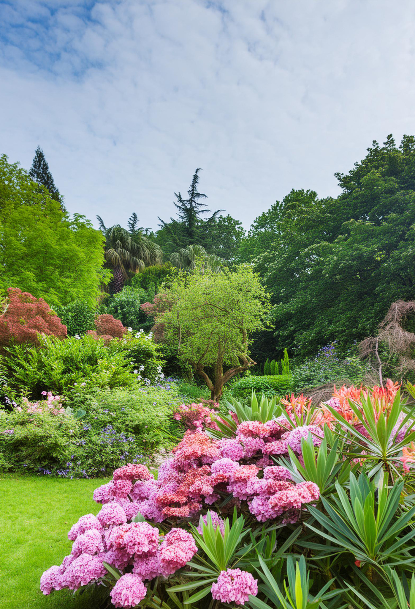 Le jardin extraordinaire de la langue française