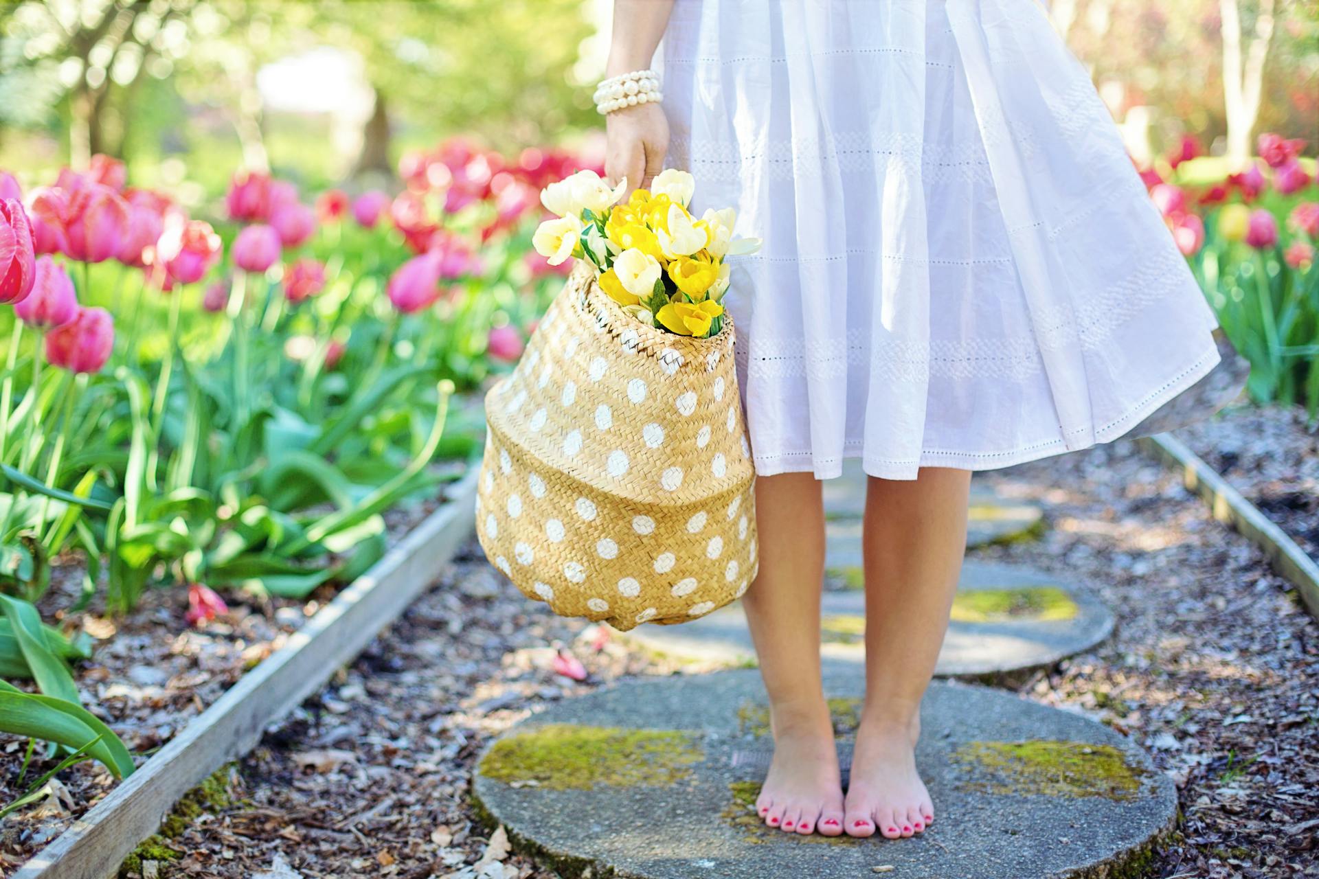 50 conseils de jardinage