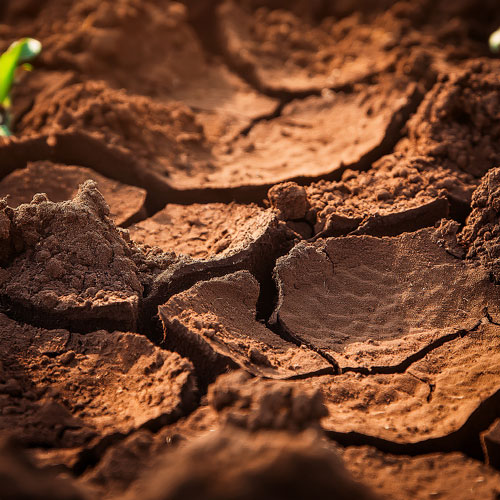 Terre dure