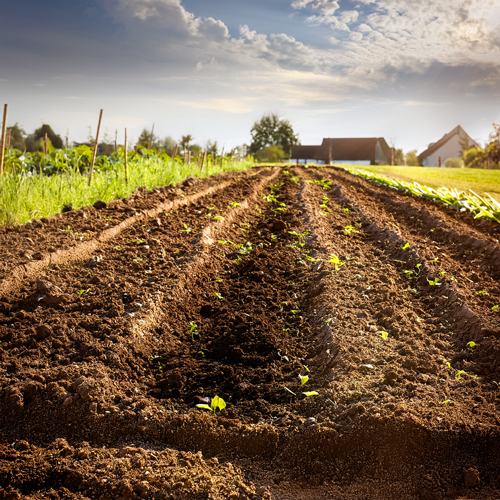 Labourer un terrain