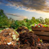 Le compost