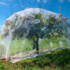 Voile d'hivernage