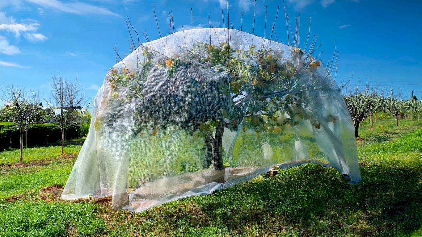 Voile d'hivernage