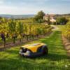 Robot tondeuse STIGA VISTA domaine viticole
