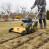 l'entretien du gazon après l'hiver